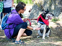 Adoptuj Warszawiaka  Wydarzenie promujące adopcję zwierząt. Organizator: Schronisko dla Bezdomnych Zwierząt "Na Paluchu". 18 sierpnia 2019, Park Raszyński w Raszynie. : park raszyński, adoptuj warszawiaka, na paluchu, schronisko dla zwierząt, centrum warszawy, raszyn
